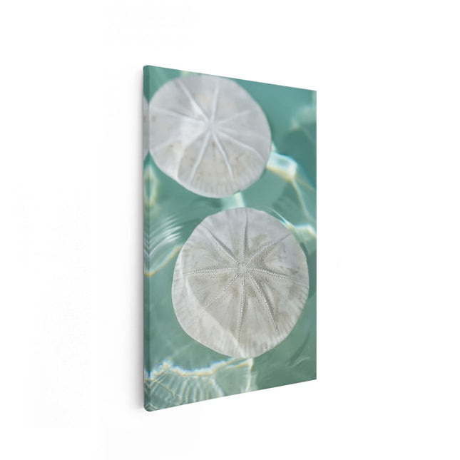 Canvas schilderij vooraanzicht Twee Zeesterren Drijvend in het Water