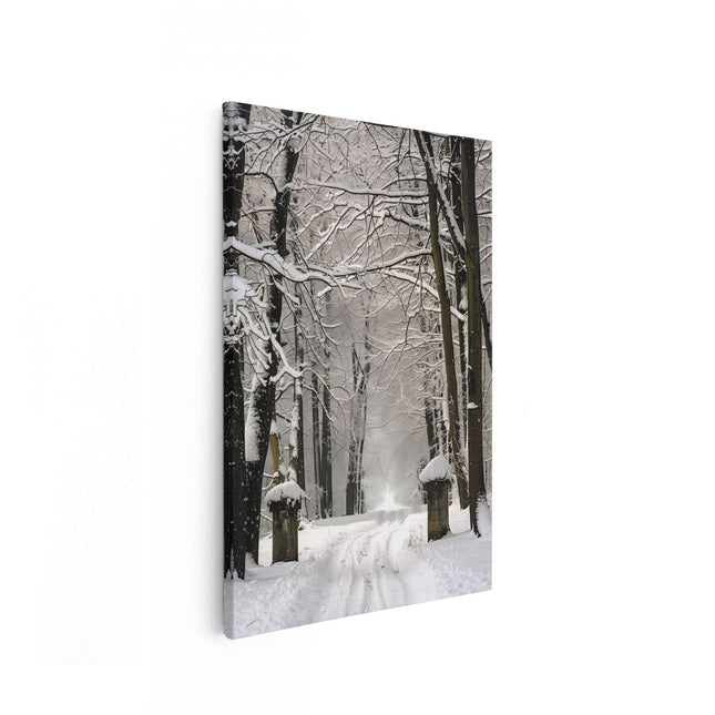 Canvas schilderij vooraanzicht Besneeuwde Pad door een Bos