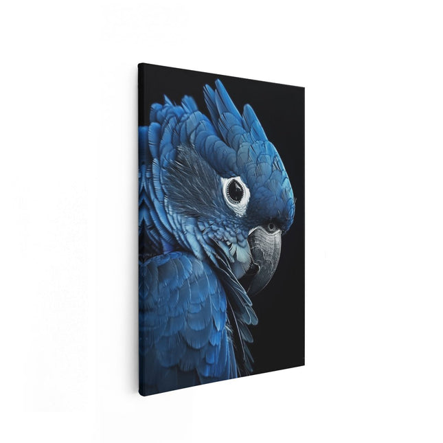Canvas schilderij vooraanzicht Blauwe Papegaai op een Zwarte Achtergrond