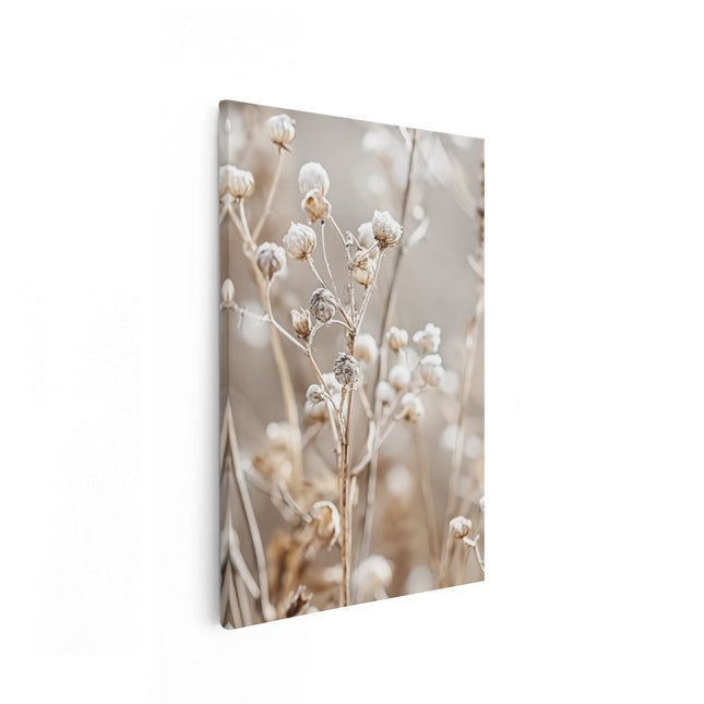 Canvas schilderij vooraanzicht Gedroogde Bloemen in een Veld