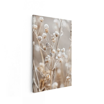 Canvas schilderij vooraanzicht Gedroogde Bloemen in een Veld