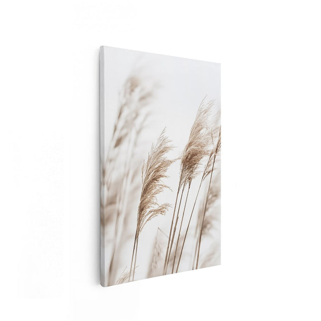 Canvas schilderij vooraanzicht Hoog Gras Wappert in de Wind