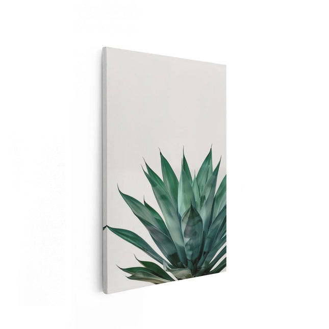 Canvas schilderij vooraanzicht Groene Agave Plant op een Witte Achtergrond