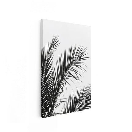 Canvas schilderij vooraanzicht Zwart Wit Beeld van Palmbladeren tegen een Witte Achtergrond