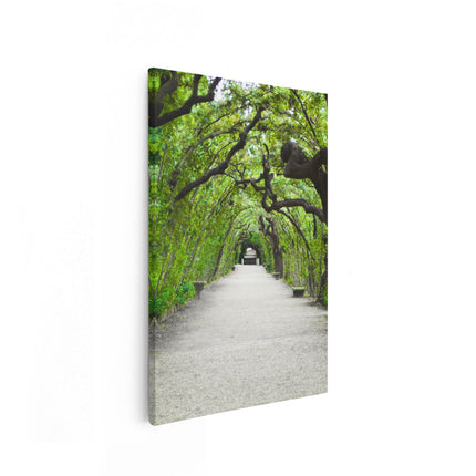 Canvas schilderij vooraanzicht Tunnel van Bomen
