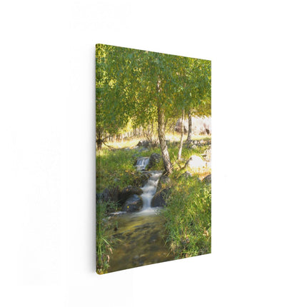 Canvas schilderij vooraanzicht Groene Beek