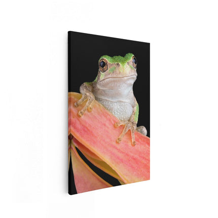 Canvas schilderij vooraanzicht Kikker II