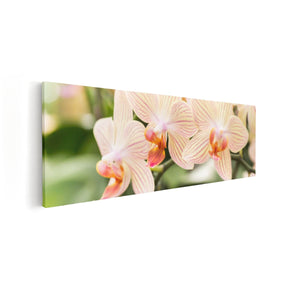 Canvas Schilderij Vooraanzicht Schilderij Roze Bloesem Bloemen