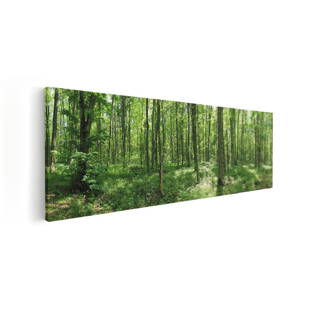 Canvas Schilderij Vooraanzicht Schilderij 