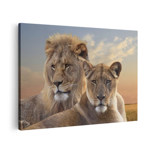 Canvas schilderij vooraanzicht Leeuw En Leeuwin