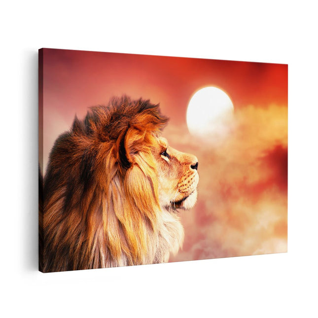 Canvas schilderij vooraanzicht Leeuw - Leeuwenkop - Tijdens Zonsopkomst