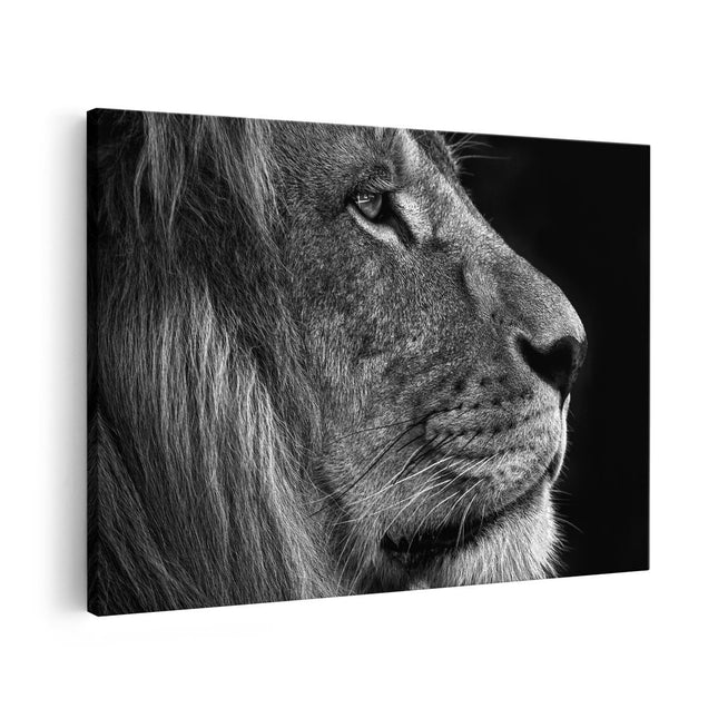 Canvas schilderij vooraanzicht Leeuw - Leeuwenkop - Zwart Wit