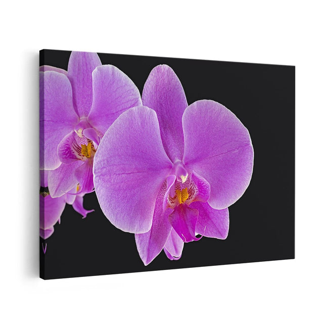 Canvas schilderij vooraanzicht Licht Paarse Orchidee - Bloem