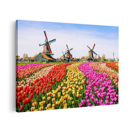 Canvas schilderij vooraanzicht Kleurrijke Tulpen Bloemenveld - Windmolen