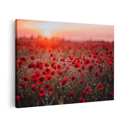 Canvas schilderij vooraanzicht Rode Klaprozen Bloemenveld Zonsondergang