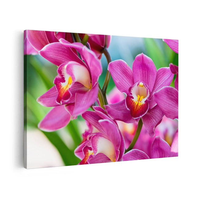 Canvas schilderij vooraanzicht Licht Paarse Orchidee Bloemen 