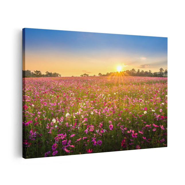 Canvas schilderij vooraanzicht Bloemenveld Met Roze Kosmos 