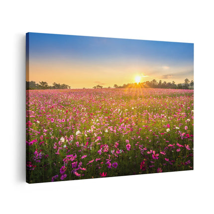 Canvas schilderij vooraanzicht Bloemenveld Met Roze Kosmos 
