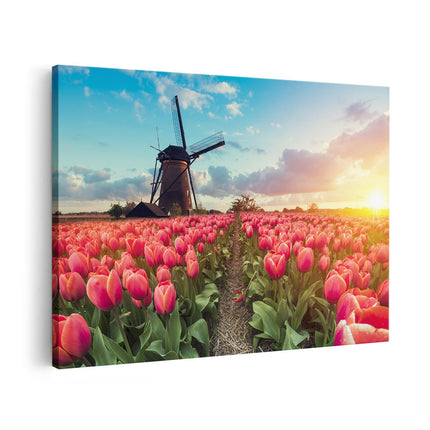 Canvas schilderij vooraanzicht Roze Tulpen Bloemenveld - Met Windmolen