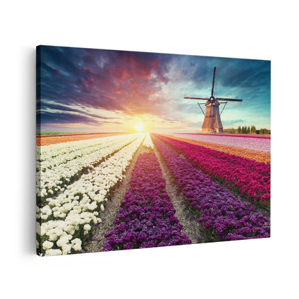 Canvas schilderij vooraanzicht Kleurrijke Tulpen Bloemenveld - Windmolen