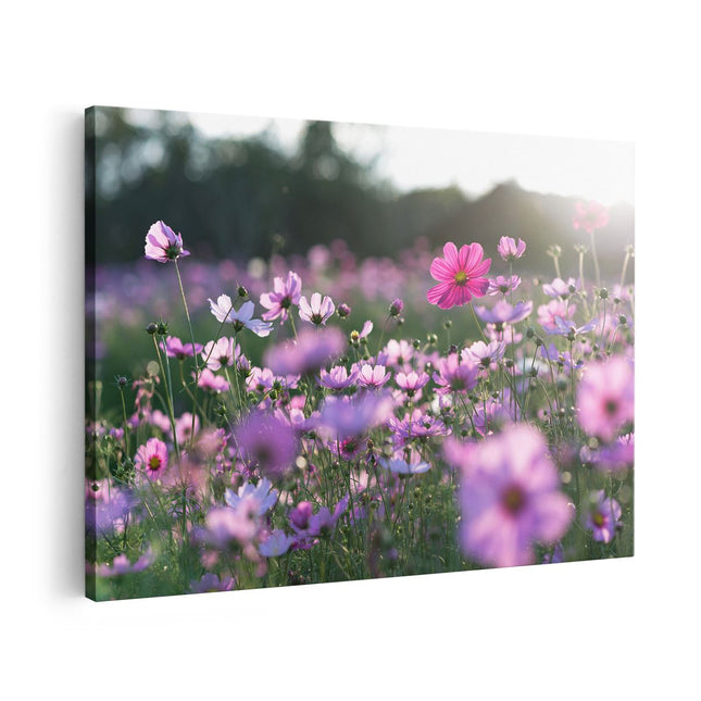 Canvas schilderij vooraanzicht Bloemenveld Met Paarse Kosmos 