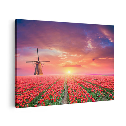 Canvas schilderij vooraanzicht Rode Rozen Bloemenveld Met Een Windmolen