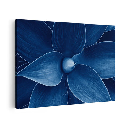 Canvas schilderij vooraanzicht Blauwe Agave Plant - Bloem