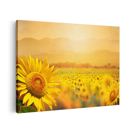 Canvas schilderij vooraanzicht Zonnebloemen Veld Met Zonopkomst