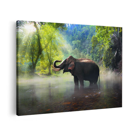 Canvas schilderij vooraanzicht Olifant In Het Water