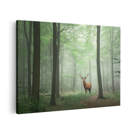 Canvas schilderij vooraanzicht Hert In Bos