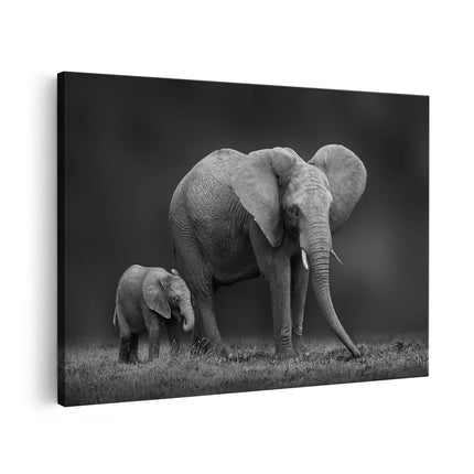 Canvas schilderij vooraanzicht Olifant Moeder En Zoon - Zwart Wit