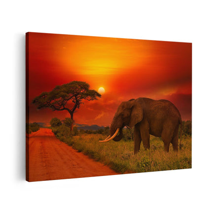 Canvas schilderij vooraanzicht Olifant In Het Wild Tijdens Zonsondergang