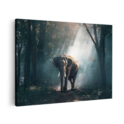 Canvas schilderij vooraanzicht Olifant In Het Bos Met Zonneschijn