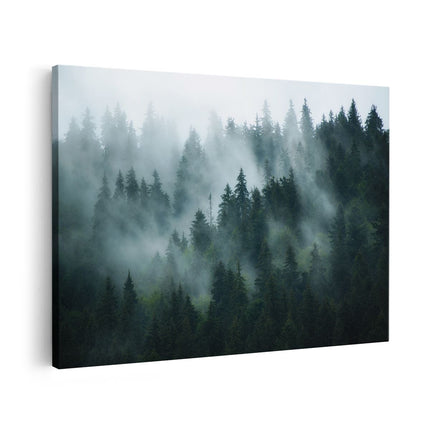 Canvas schilderij vooraanzicht Bos Met Bomen In De Mist