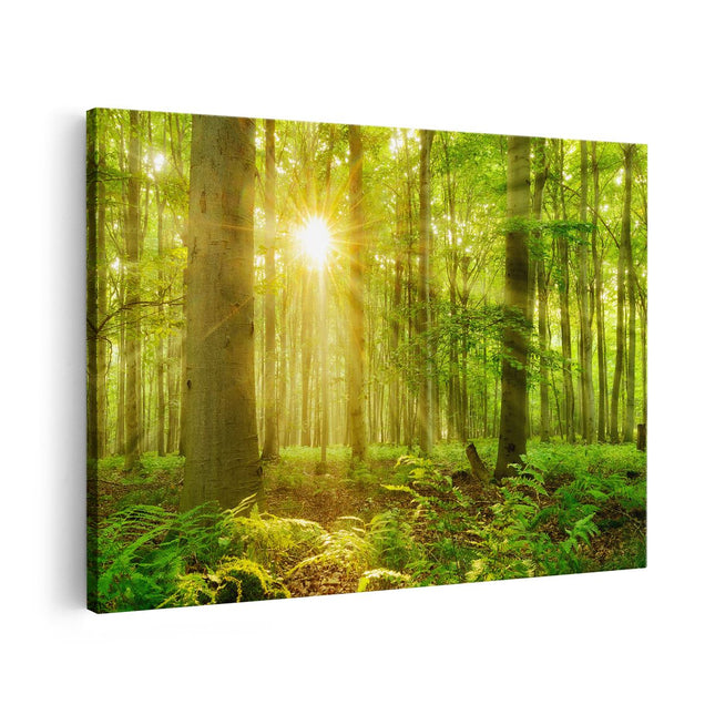 Canvas schilderij vooraanzicht Groen Bos Met Schijnende Zonnestralen