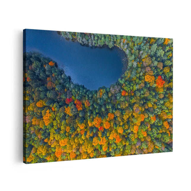 Canvas schilderij vooraanzicht Kleurrijke Bos Met Bomen Naast Een Meer