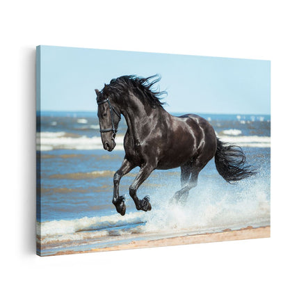 Canvas schilderij vooraanzicht Zwart Paard In Het Water