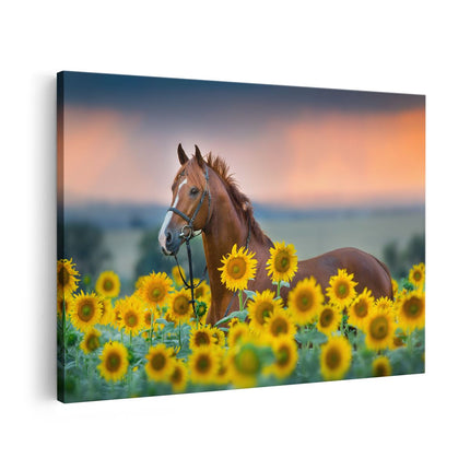 Canvas schilderij vooraanzicht Bruin Paard Tussen De Zonnebloemen