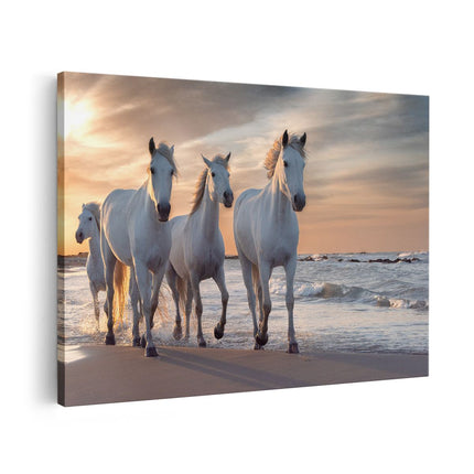 Canvas schilderij vooraanzicht Witte Paarden Op Het Strand Bij Water