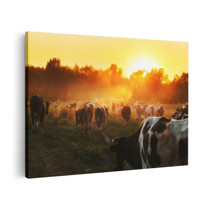 Canvas schilderij vooraanzicht Kudde Koeien In Weiland Bij Zonsondergang