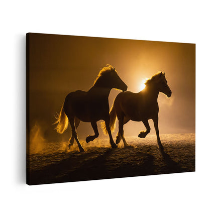 Canvas schilderij vooraanzicht Silhouet Van Twee Paarden