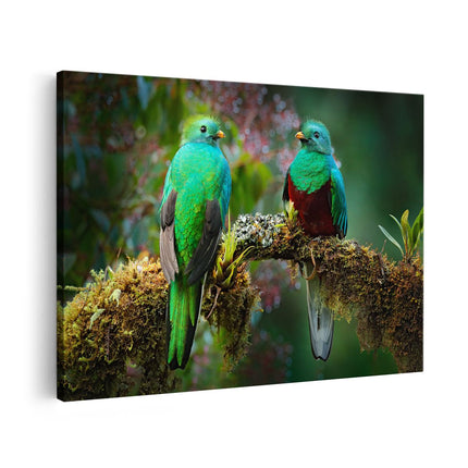 Canvas schilderij vooraanzicht Twee Groene Quetzal Vogels Op Een Tak