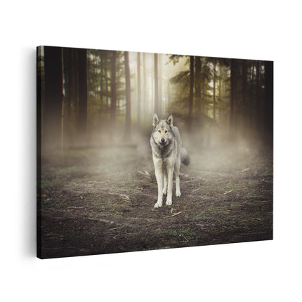 Canvas schilderij vooraanzicht Grijze Wolf In Het Bos