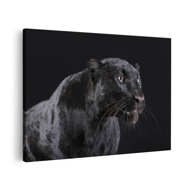 Canvas schilderij vooraanzicht Zwarte Panterkop - Panter