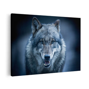 Canvas schilderij vooraanzicht Wolvenkop Met Blauwe Ogen - Wolf