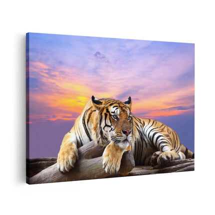 Canvas schilderij vooraanzicht Tijger Tijdens Zonsondergang