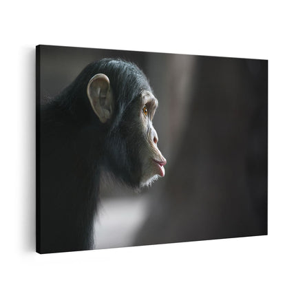 Canvas schilderij vooraanzicht Verbaasde Aap Vanaf De Zijkant