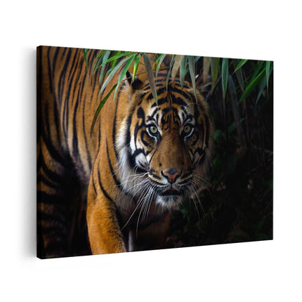 Canvas schilderij vooraanzicht Tijger In De Jungle