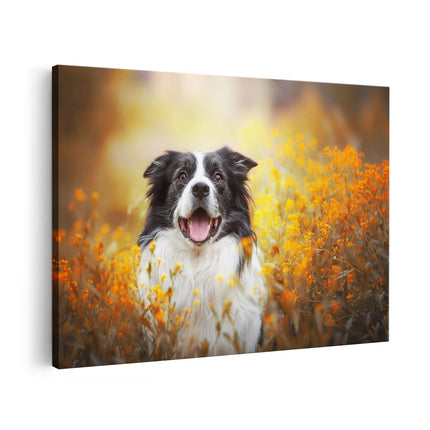 Canvas schilderij vooraanzicht Blije Hond Tussen De Bloemen