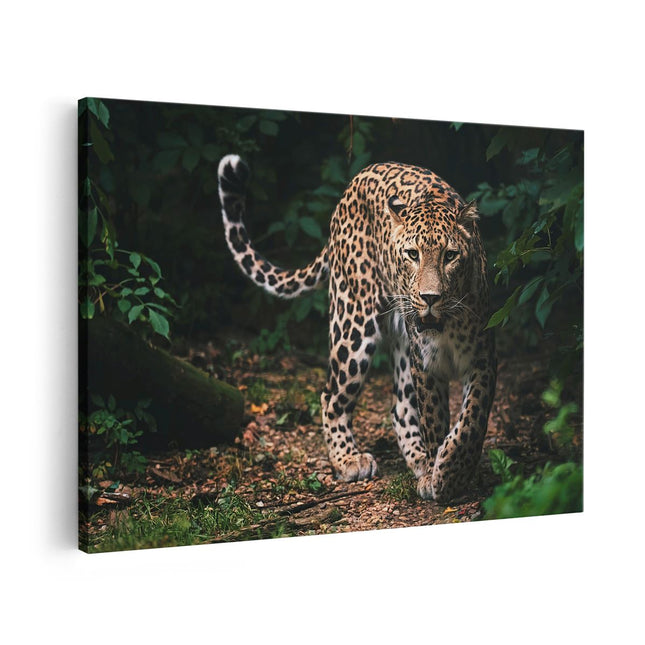 Canvas schilderij vooraanzicht Luipaard In Het Bos